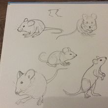 Mijn project van de cursus: Creëer dynamische dierenillustraties voor kinderverhalen. Character Design, Pencil Drawing, Drawing, and Children's Illustration project by prettypearl - 11.07.2022