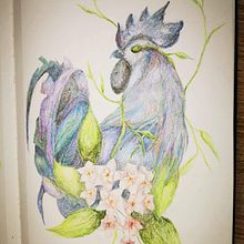 Ayam Cemani. Traditional illustration, Colored Pencil Drawing, and Creativit project by Karola Kruk - 11.07.2022