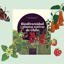 Libro Biodiversidad y plantas nativas de Chile. Un proyecto de Ilustración tradicional y Diseño editorial de Patricio Roco Urrutia - 07.11.2022