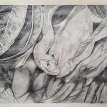 Mi proyecto del curso: De principiante a superdibujante. Design, Traditional illustration, Pencil Drawing, and Drawing project by Edison Hurtado Morales - 11.08.2022