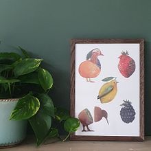 The fruitbirds project. Traditional illustration project by Claudia Kerssemakers - 11.09.2022