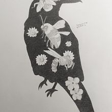 My project for course: Artistic Naturalistic Drawing with Pencil. Un progetto di Disegno a matita, Disegno, Disegno artistico e Illustrazione naturalistica di Yve - 09.11.2022
