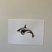 My project for course: Naturalist Illustration Techniques: Whales in Watercolor. Un projet de Illustration traditionnelle, Conception d'affiches, Illustration numérique , et Manga de kroufkovamisa - 10.11.2022