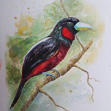 My project for course: Artistic Watercolor Techniques for Illustrating Birds Ein Projekt aus dem Bereich Traditionelle Illustration, Aquarellmalerei, Realistische Zeichnung und Naturalistische Illustration von lucey_porch - 07.11.2022