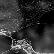 CA-TEXTURA. Photograph project by Carla Ortiz Lopez - 11.10.2022