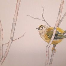 Mi proyecto del curso: Acuarela de naturaleza: ilustra en negativo y positivo. Traditional illustration, Drawing, Watercolor Painting, Botanical Illustration, and Naturalistic Illustration project by beatrizasinl - 11.10.2022