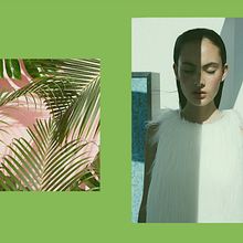 Meu projeto do curso: Mutualismo. Projekt z dziedziny Projektowanie mod użytkownika Pesco Estúdio - 29.10.2022