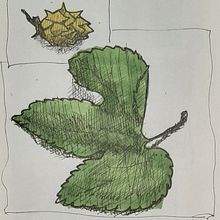 My project for course: Sketchbooking for Beginners: Learn to Draw Your Surroundings. Traditional illustration, Sketching, Creativit, Drawing, and Sketchbook project by Arnaud De - 11.10.2022