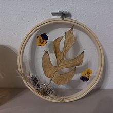 Il mio progetto del corso: Ricamo su tulle con piante e fiori naturali. Un proyecto de Bordado, DIY, Diseño floral, vegetal y Diseño textil de nicoletta_casadei_lelli - 10.11.2022