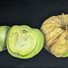 My project for course: Botanical Watercolor: Illustrating Art and Science. Un progetto di Illustrazione tradizionale, Belle arti, Pittura, Disegno, Pittura ad acquerello e Illustrazione botanica di Ann - 08.11.2022