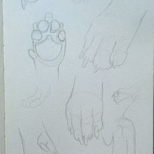Estudio de Animales. Traditional illustration, Sketching, Character Design, and Pencil Drawing project by Ainhoa Venegas - 10.22.2022