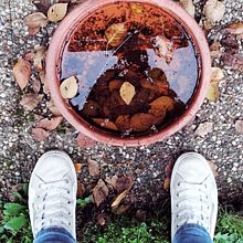 Mein Abschlussprojekt für den Kurs: Professionelle Fotografie für Instagram - Autumn. Un progetto di Pubblicità, Fotografia, Marketing, Social media, Fotografia con smartphone, Fotografia di prodotti, Mobile marketing, Instagram, Fotografia per Instagram, Fotografia lifest e le di carmen_formanek - 16.11.2022