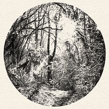 Forest Drawing. Projekt z dziedziny  R, sunek,  Sztuki piękne,  R i sunek atramentem użytkownika Fujiko Rose - 13.11.2022