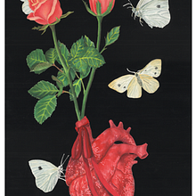 ORGANS: Heart Illustration. Traditional illustration, Editorial Design, Education, Fine Arts, Painting, Sketching, Creativit, Drawing, Poster Design, Concept Art, Realistic Drawing, Artistic Drawing, Instagram, Botanical Illustration, Naturalistic Illustration, Gouache Painting, and Picturebook project by MYC A - 10.24.2022