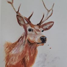Le cerf. Watercolor Painting project by martinecach - 11.14.2022