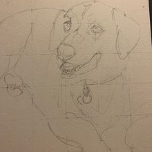 My project for course: Expressive Animal Portraits in Watercolor  "Jake". Traditional illustration, Watercolor Painting, Realistic Drawing, and Naturalistic Illustration project by Michele Bennett - 11.14.2022