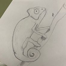 Camaleón. Un projet de Dessin au cra , et on de Carla Ruiz - 15.11.2022