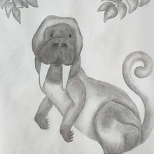 DA - Combinación animales/ Animal fantástico (Morsa, Canguro, Mono). Drawing, Pencil Drawing, Realistic Drawing, Artistic Drawing, Figure Drawing, Fine Arts, Design, Character Design, Traditional illustration, Botanical Illustration, and Naturalistic Illustration project by Stephanie W - 11.15.2022