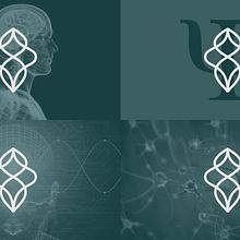 Brand Identity - Logotype Imerse Psicologia. Br, ing e Identidade, Design, Publicidade, Direção de arte, e Design gráfico projeto de Gustavo Fagundes - 16.11.2022