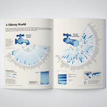 My project for course: Information Design: Storytelling with Data in Illustrator. Graphic Design, Information Design, Interactive Design & Infographics project by Valentina D'Efilippo - 10.30.2022