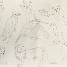 Bocetos de animales. Een project van Tekening met potlood van Ainhoa González García - 16.11.2022