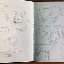 DA - Estudio de animales. Pencil Drawing, and Drawing project by Alicia Ribes - 11.16.2022