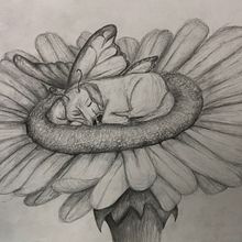 Animal fantàstic i estudi previ d'aquest. Un proyecto de Dibujo a lápiz, Dibujo, Creatividad y Dibujo artístico de Vinyet Montaña - 16.11.2022