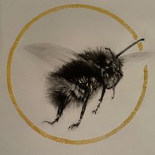 My project on the bee. I applied glitter instead of goldleaf.. Traditional illustration, Painting, and Naturalistic Illustration project by marc matoul - 11.17.2022