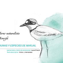 Cuaderno naturalista Moncofa. Dunas y especies de marjal. Laura Franch. Prototipo. Todos los derechos reservados.. Un proyecto de Ilustración tradicional, Diseño editorial, Dibujo a lápiz, Ilustración digital, Pintura a la acuarela, Dibujo realista y Dibujo artístico de Laura Franch - 07.07.2022