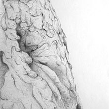 Detalles de Nuestro Entorno. Traditional illustration, Outdoor Photograph, Pencil Drawing, and Sketching project by Ainhoa Venegas - 11.17.2022