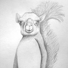 Creación de un Animal Fantástico. Traditional illustration, and Pencil Drawing project by Ainhoa Venegas - 10.22.2022