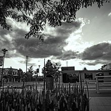 My project for course: Beginner’s Photography: Basic Camera Use and Theory. Photograph, Digital Photograph, and Photographic Composition project by Erick Richards - 11.17.2022