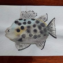 Mi proyecto del curso: Ilustración de universos marinos en acuarela . % Belén Moreno tarafından hazırlanan Geleneksel illüstras, on, Tablo, Sulubo, a Resim, Doğalcı İllüstras, Ve on projesi - 11.18.2022