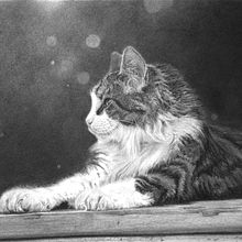 My project for course: Artistic Charcoal Portraiture: Creating Atmosphere. Projekt z dziedziny Trad, c, jna ilustracja,  Sztuki piękne,  R, sunek, Portret, R, sunek realist, czn,  R, sunek art, st i czn użytkownika chere_jackson - 18.11.2022