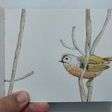 Meu projeto do curso: Ilustração da natureza: aquarela em positivo e negativo. Traditional illustration, Fine Arts, Painting, Drawing, Watercolor Painting, Botanical Illustration, and Naturalistic Illustration project by Flávio Bartoli - 11.20.2022