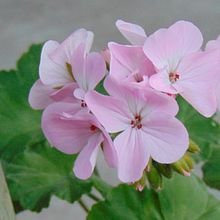 Mi proyecto del curso: Escritura de una novela paso a paso. Un projet de Écriture, Créativité, Stor, telling, Narration, Écriture de fiction , et Écriture créative de Martina Marutke - 20.11.2022