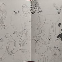 Estudio de animales . Pencil Drawing project by Sandra Lorenzo - 11.20.2022