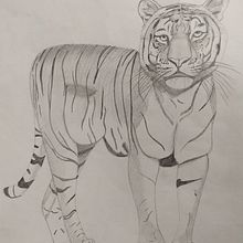 Dos animales . Pencil Drawing project by Sandra Lorenzo - 11.20.2022