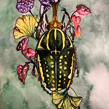 Meu projeto do curso: Aquarela botânica: pinte o mundo natural. Fine Arts, Painting, Watercolor Painting, Botanical Illustration, and Naturalistic Illustration project by Beatriz Forjaz - 11.19.2022