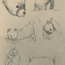 Bocetos a lapiz - Animal. Un projet de Esquisse , Dessin au cra, on , et Dessin de W4D - 21.11.2022