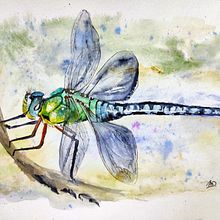 My project for course: Botanical Watercolor Sketchbook. Un progetto di Illustrazione tradizionale, Pittura ad acquerello, Illustrazione botanica e Sketchbook di Dana Doubravka Mikulcová - 15.11.2022
