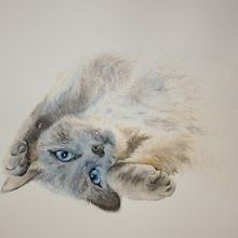 My project for course: Expressive Animal Portraits in Watercolor. Un projet de Illustration traditionnelle, Aquarelle, Dessin réaliste et Illustration naturaliste de Daphne Edlund - 20.11.2022