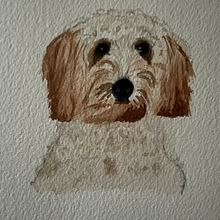 My project for course: Expressive Animal Portraits in Watercolor - Fin the dog. Un proyecto de Ilustración tradicional, Pintura a la acuarela, Dibujo realista e Ilustración naturalista				 de Barb Weaver - 21.11.2022