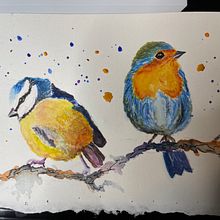 My project for course: Artistic Watercolor Techniques for Illustrating Birds. Watercolor Painting, Traditional illustration, Realistic Drawing, and Naturalistic Illustration project by bronwyngsutherland - 11.22.2022