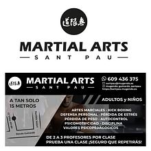 Logo y trabajos gráficos para escuela de artes marciales. Un proyecto de Diseño gráfico de El estudio de Coco - 22.11.2022