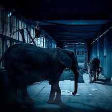 Mi proyecto del curso: Secretos del fotomontaje y el retoque creativo. Un projet de Photographie, Postproduction photographique, VFX, Retouche photographique, Photographie artistique, Composition photographique , et Photomontage de Ivan Santos - 13.04.2022