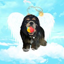 RIP 🐾 Ein Projekt aus dem Bereich Traditionelle Illustration von Hector Rodriguez - 20.11.2022