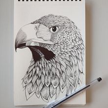 Animals drawings with different media. Pencil Drawing, Drawing, Colored Pencil Drawing & Ink Illustration project by Lara Chiari - 11.23.2022