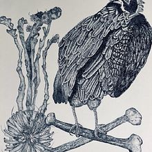 Rheba's project for course: Naturalist Illustration with Ballpoint Pen . Un proyecto de Ilustración tradicional, Dibujo, Dibujo realista e Ilustración naturalista				 de Rheba - 20.11.2022