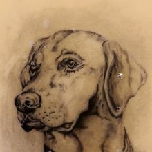 Mi proyecto del curso: Tatuaje para principiantes. Tattoo Design project by tdeteran - 11.23.2022